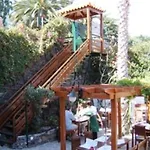 Ventura קאניקו
